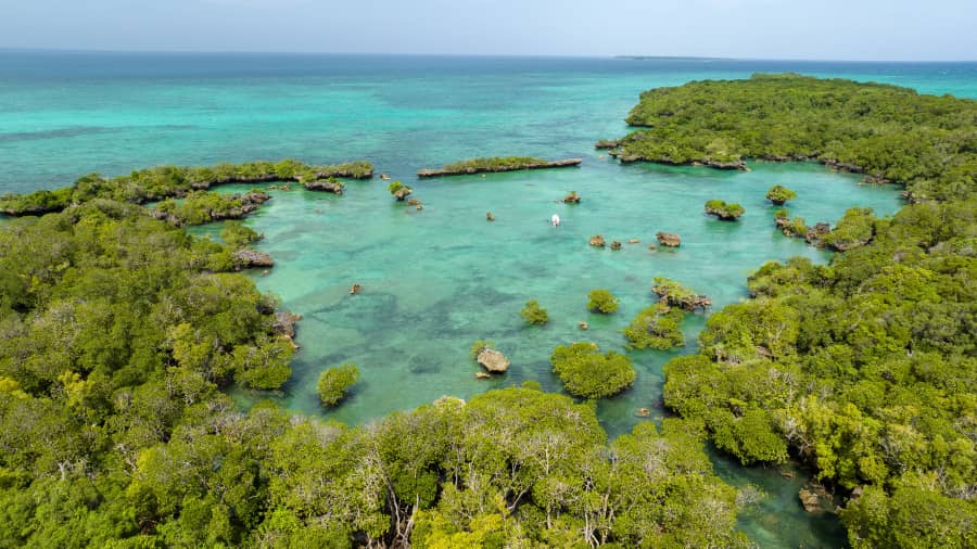 Full Day Safari blue snorkeling tour