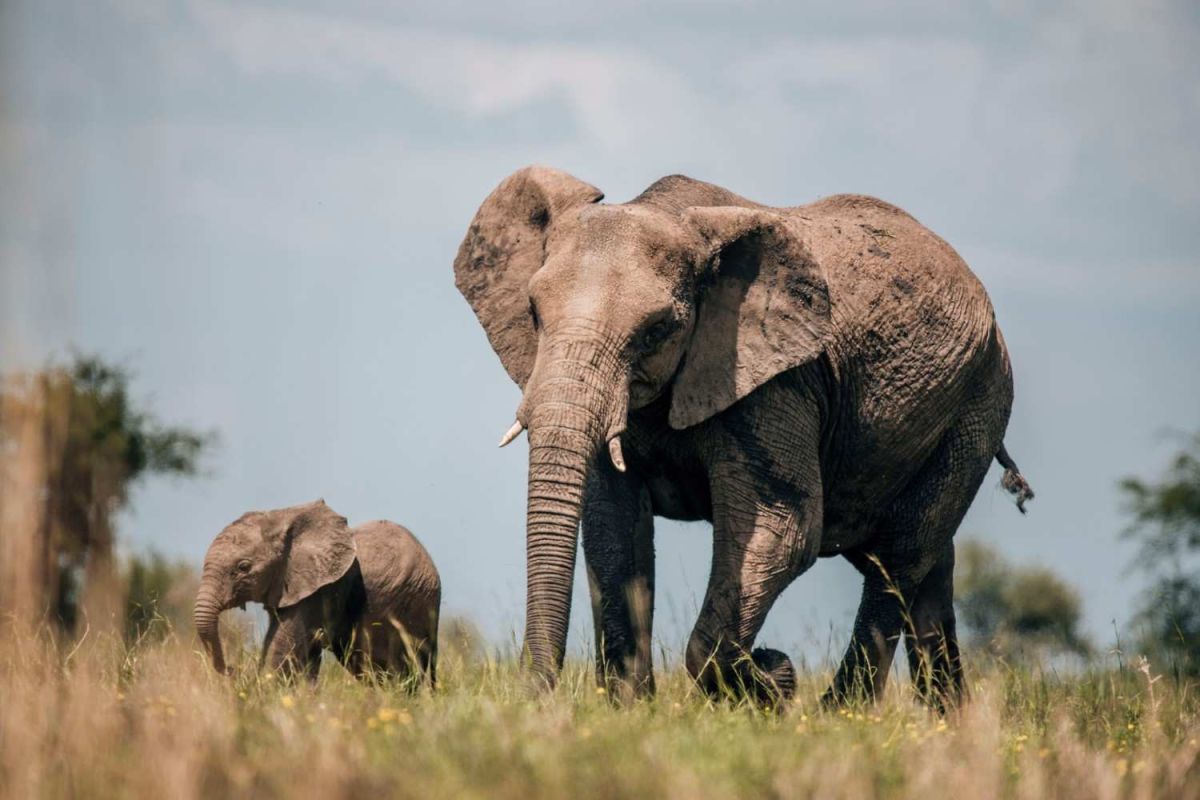 Arusha National Park