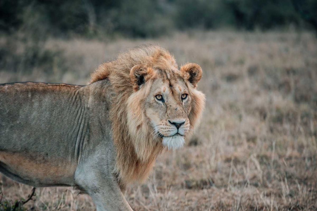 Lake Manyara National Park